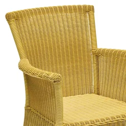 Fashion Horgans Capri Outdoor Chair Flaxen Yellow