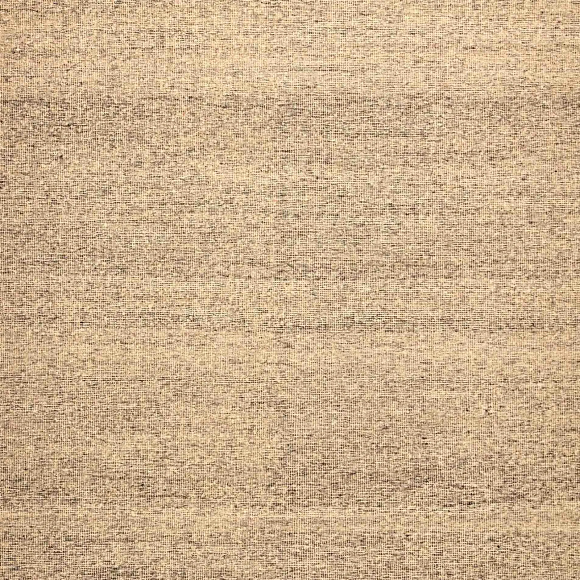 Fashion Horgans Evie Rug 250 x 350 Natural & Black