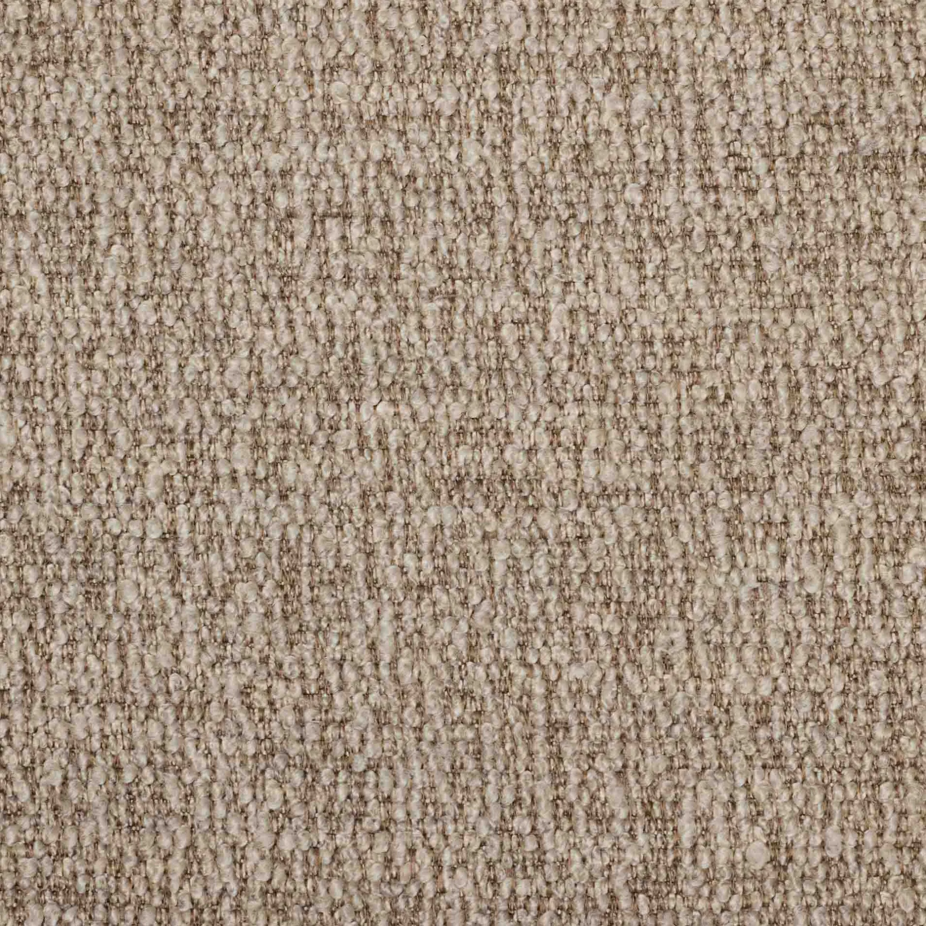 Online Horgans Levi Dining Chair Pebble Cream