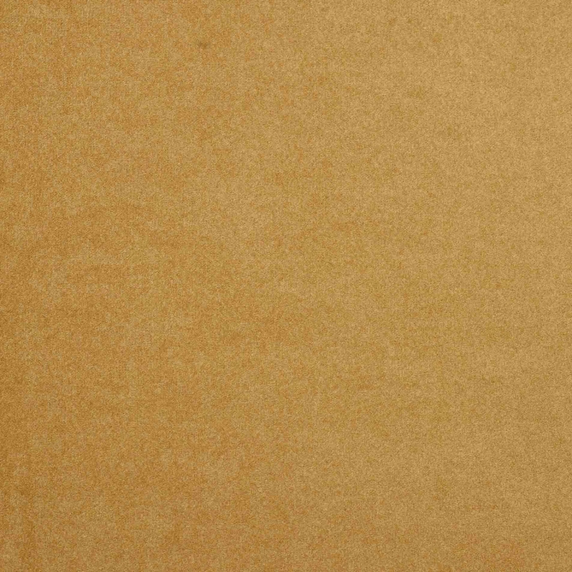 Hot Horgans Zara Dining Chair Sand Sand Velvet